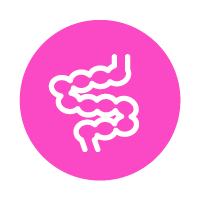 icon of intestine inside circle